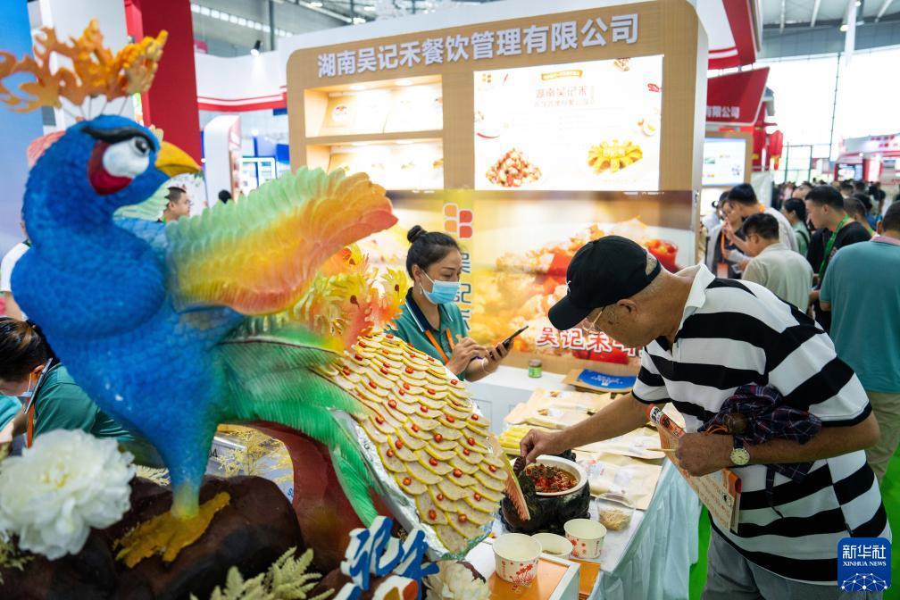 天游账户登录